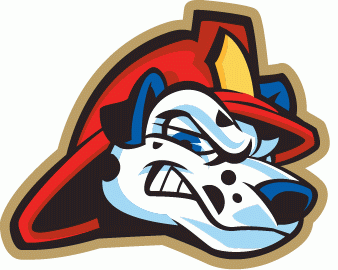 Peoria Chiefs 2005-pres cap logo iron on heat transfer